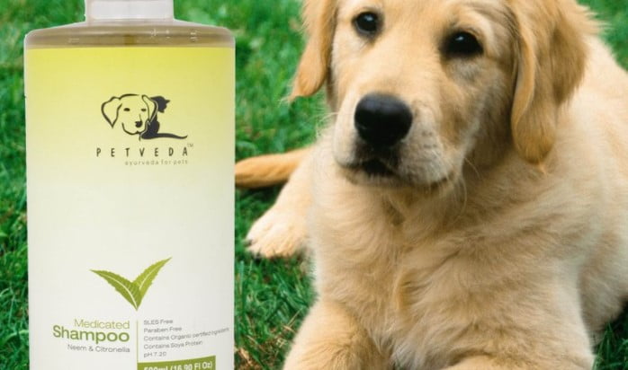 Petveda Acquired by IDAM Natural Wellness