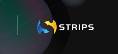 Strip Finance to launch NFTs platform armed with Rs.3.5 Cr Funding