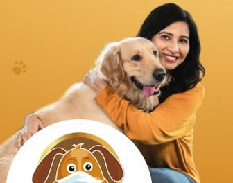 Dogsee Chew's USD 7M, Big Push for Petfood biz