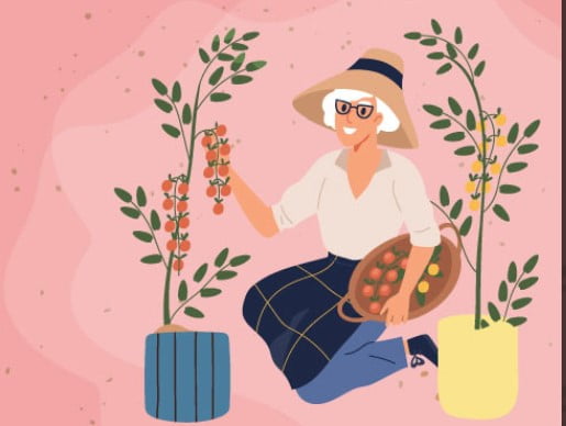 Start-Up Ugaoo Secures INR 15 Cr to Expand Home Gardening Hubs