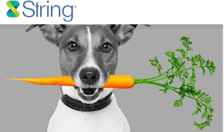 String Bio Secures $20M to innovate, boost market share growth