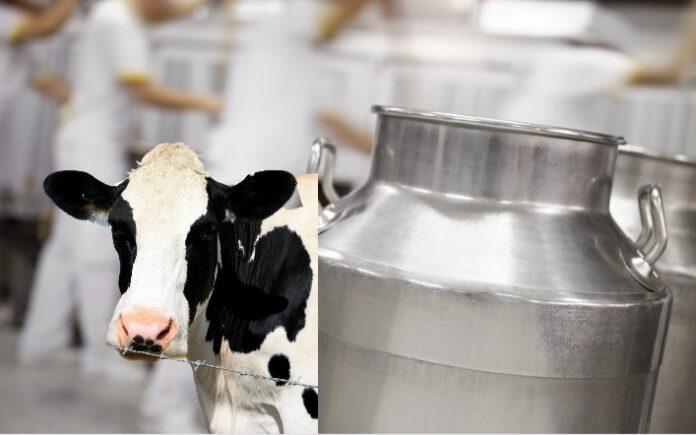 Akshayakalpa Organic raises $15M to serve new dairy consumers markets