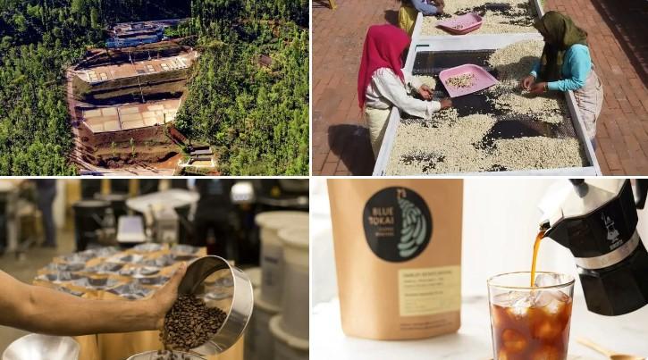 Blue Tokai Coffee Roasters Startupstars