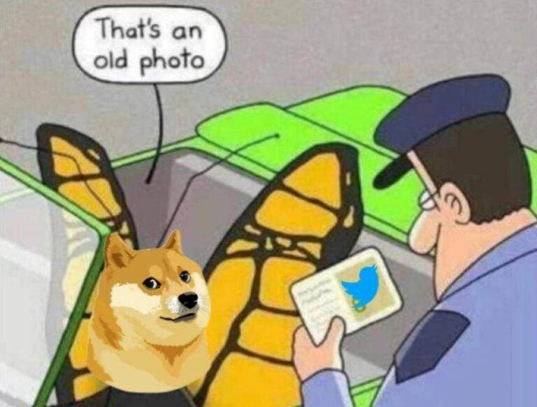 Elon Musk New Love is a Doge Meme - Here's why