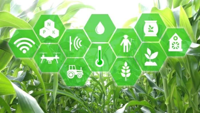 Waycool $40Mn Growth Funding Plan Pulls Strong Investor Interest