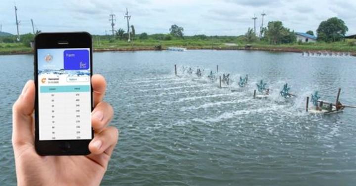 AquaExchange Secures $6M to Add Value to Aquaculture Sustainability