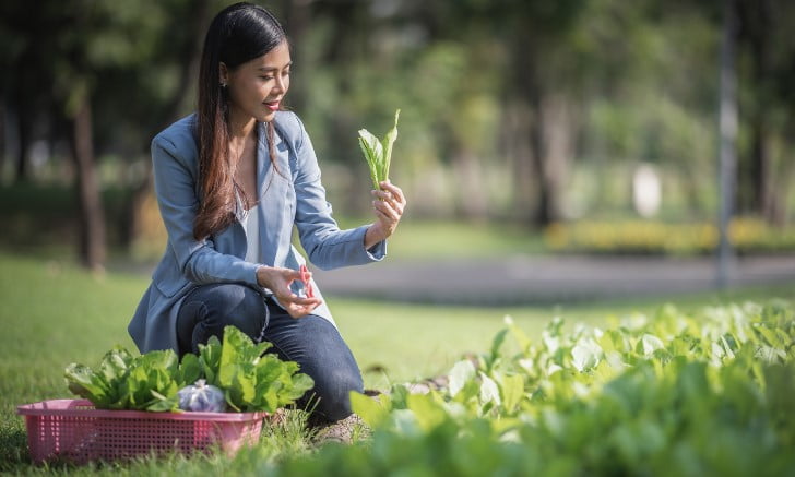Agri Startups Funding