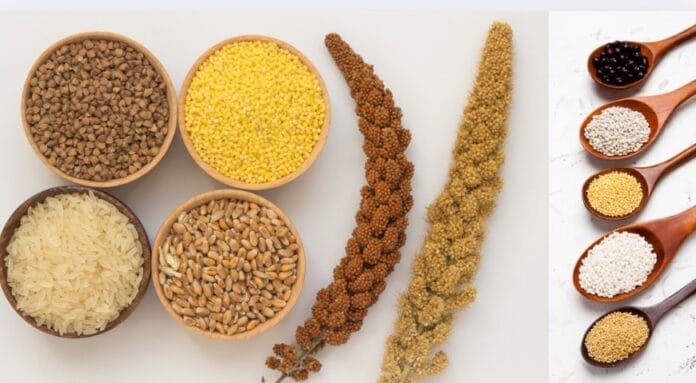 Millets Trade Fair 2025