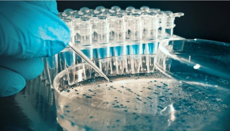 IXP Lifesciences Fund