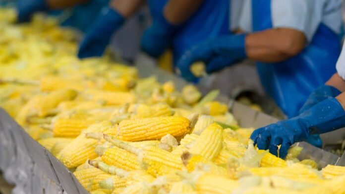 Food Processing in India Growth Story MoFPI Food Processing in India